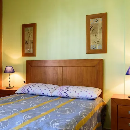 Apartmán Halcon Arona (Tenerife)